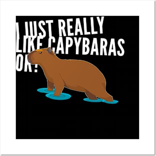 I just really like capybaras ok! Posters and Art